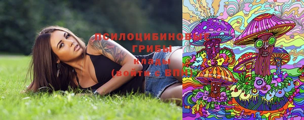 эйфоретик Абаза